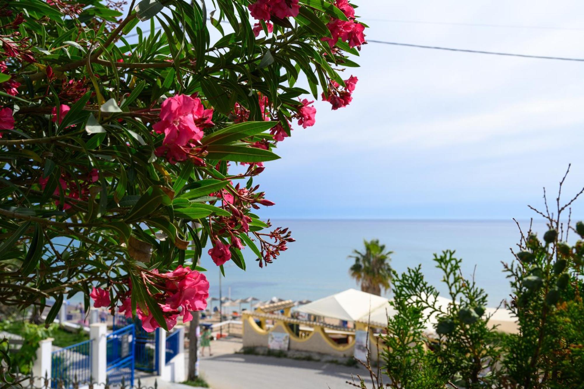 Apartment Vista Mare